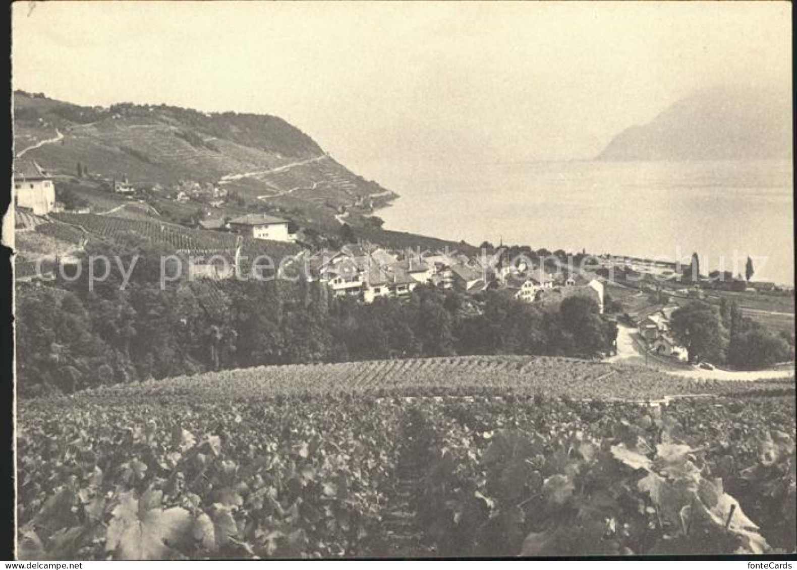 11644232 Lavaux VD Panorama Lac Leman  - Altri & Non Classificati