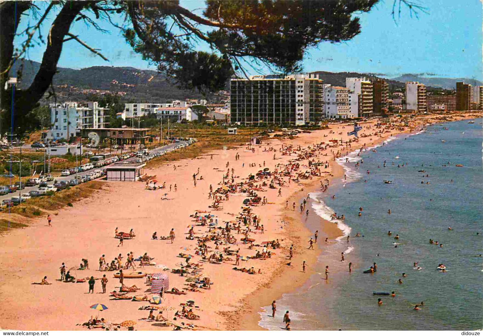 Espagne - Espana - Cataluna - Costa Brava - San Antonio De Calonge - Playa - Plage - Immeubles - Architecture - CPM - Vo - Gerona