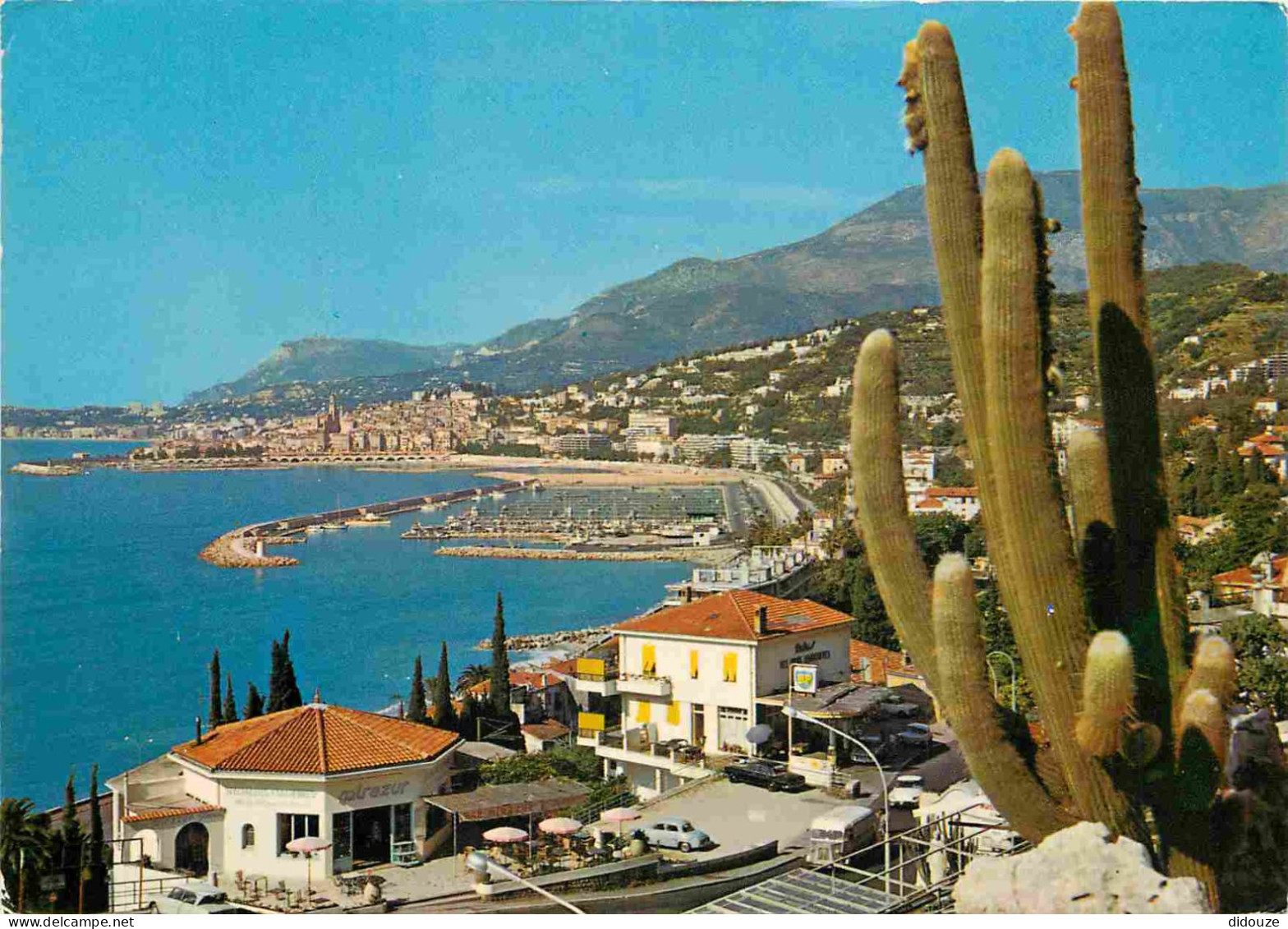 Fleurs - Plantes - Cactus - La Cote D'Azur - Menton - Vue Sur Le Nouveau Port Au Fond La Vieille Ville Et Le Cap Martin  - Cactusses