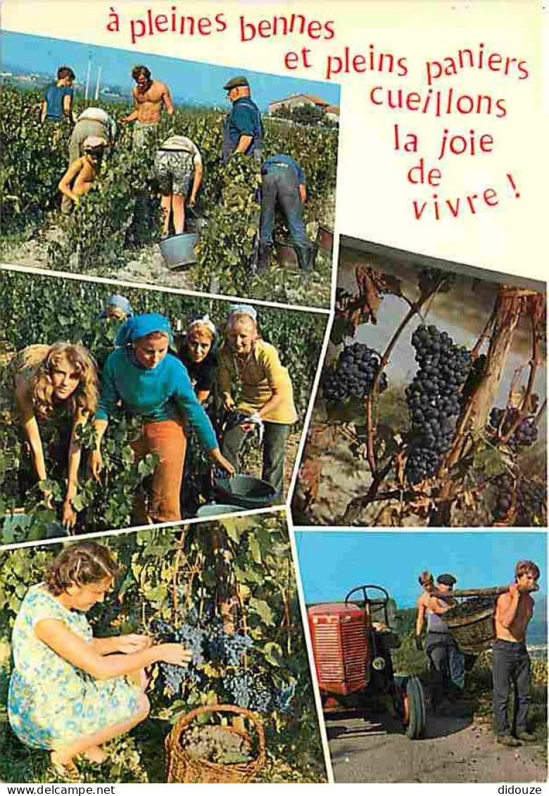 Vignes - Multivues - Tracteur - Grappes De Raisins - Vendanges - Raisins - Vin - CPM - Voir Scans Recto-Verso - Viñedos