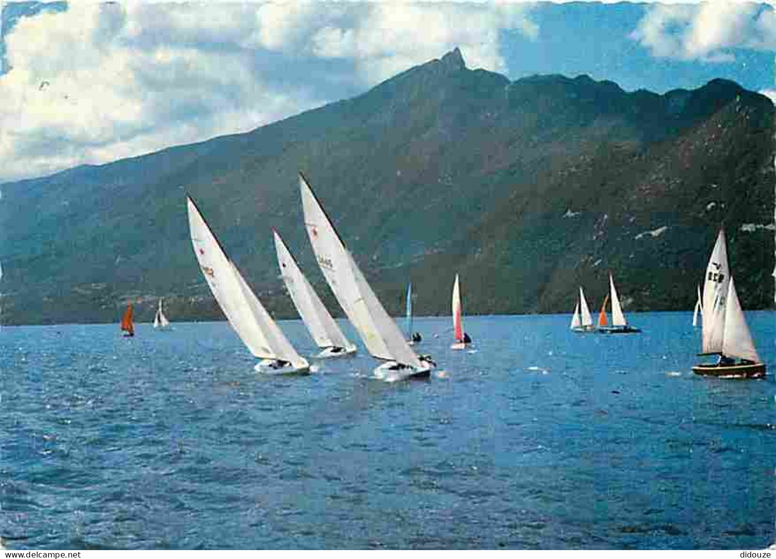 73 - Lac Du Bourget - Régates à Voiles Sur Le Lac Du Bourget Et La Dent Du Chat - CPM - Voir Scans Recto-Verso - Le Bourget Du Lac