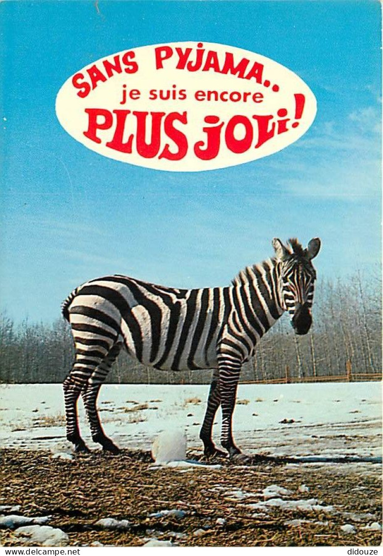 Animaux - Zèbres - Carte à Message Ou Humoristique - CPM - Voir Scans Recto-Verso - Zebras