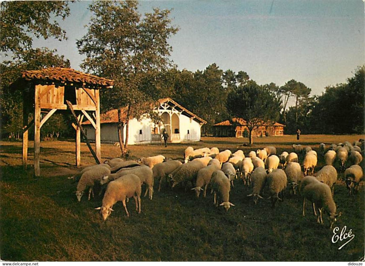 Animaux - Moutons - Landes - Eco-Musée De Marquèze - Parc Régional Des Landes De Gascogne. Le Poulailler Et La Bergerie  - Sonstige & Ohne Zuordnung