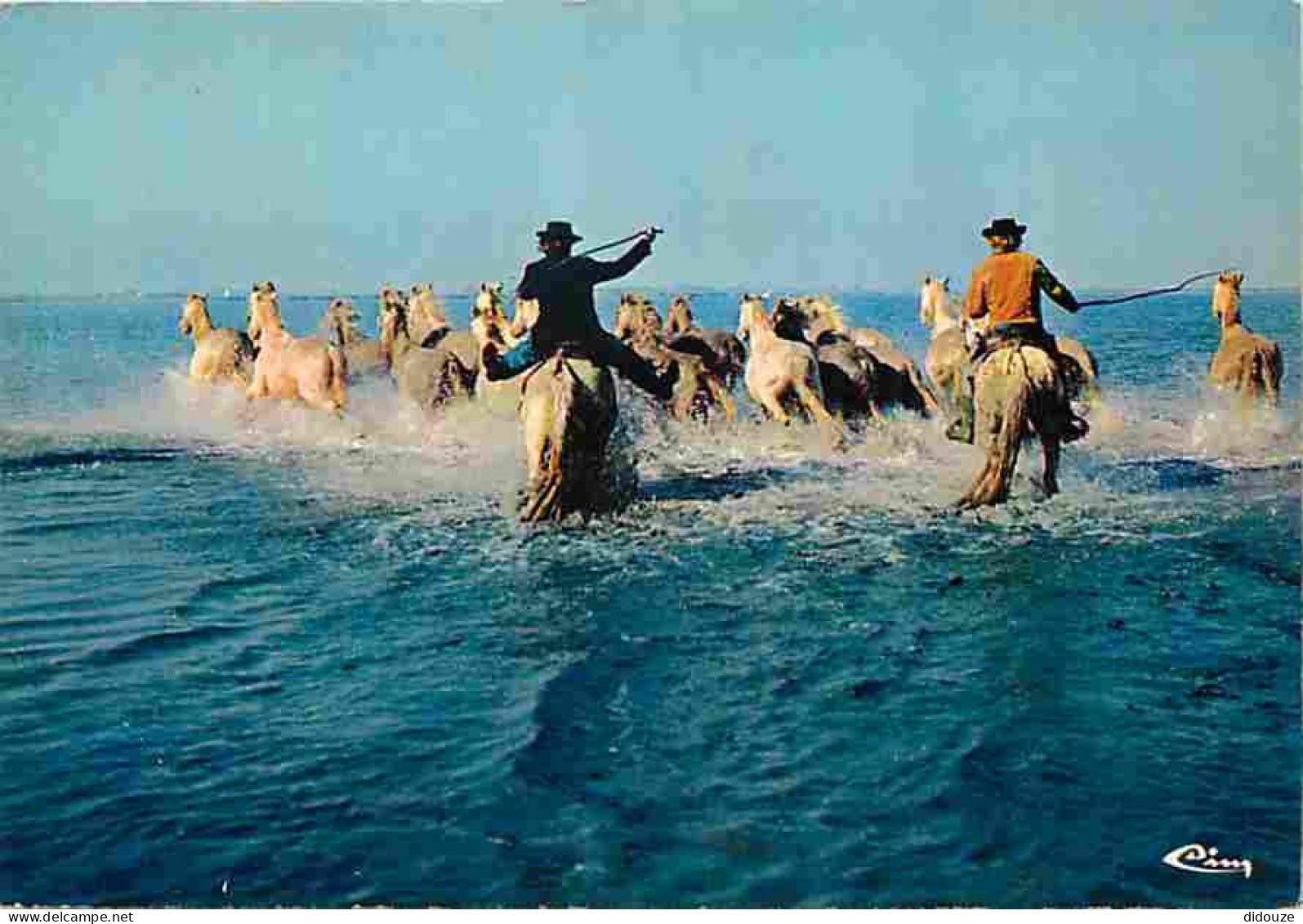 Animaux - Chevaux - Camargue - Chevaux Dans Le Marais - Gardians - Voir Scans Recto Verso  - Horses