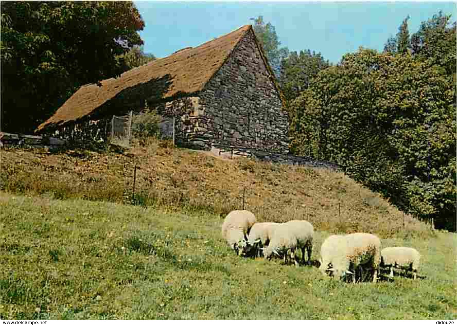 Animaux - Moutons - Lourdes - Cité Secours St Pierre - La Chapelle Ste Bernadette - CPM - Voir Scans Recto-Verso - Autres & Non Classés