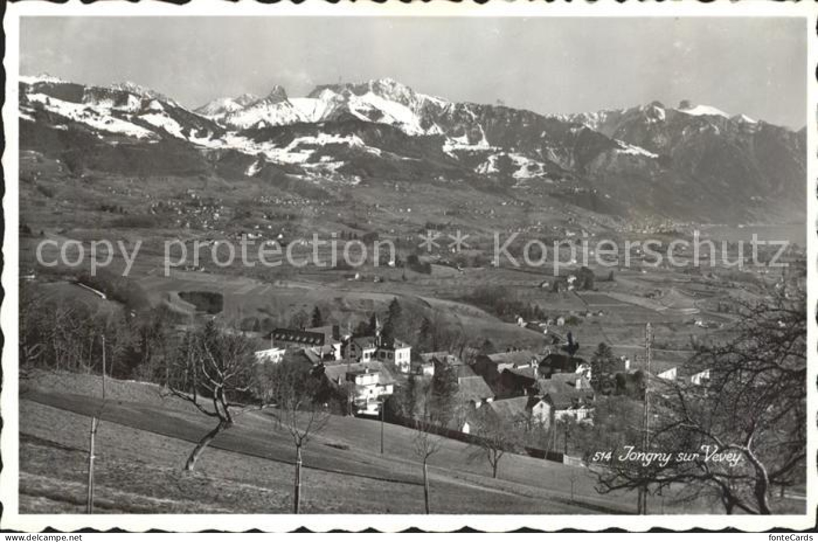 11644141 Jongny Vue Panoramique Et Les Alpes Lac Leman Jongny - Autres & Non Classés