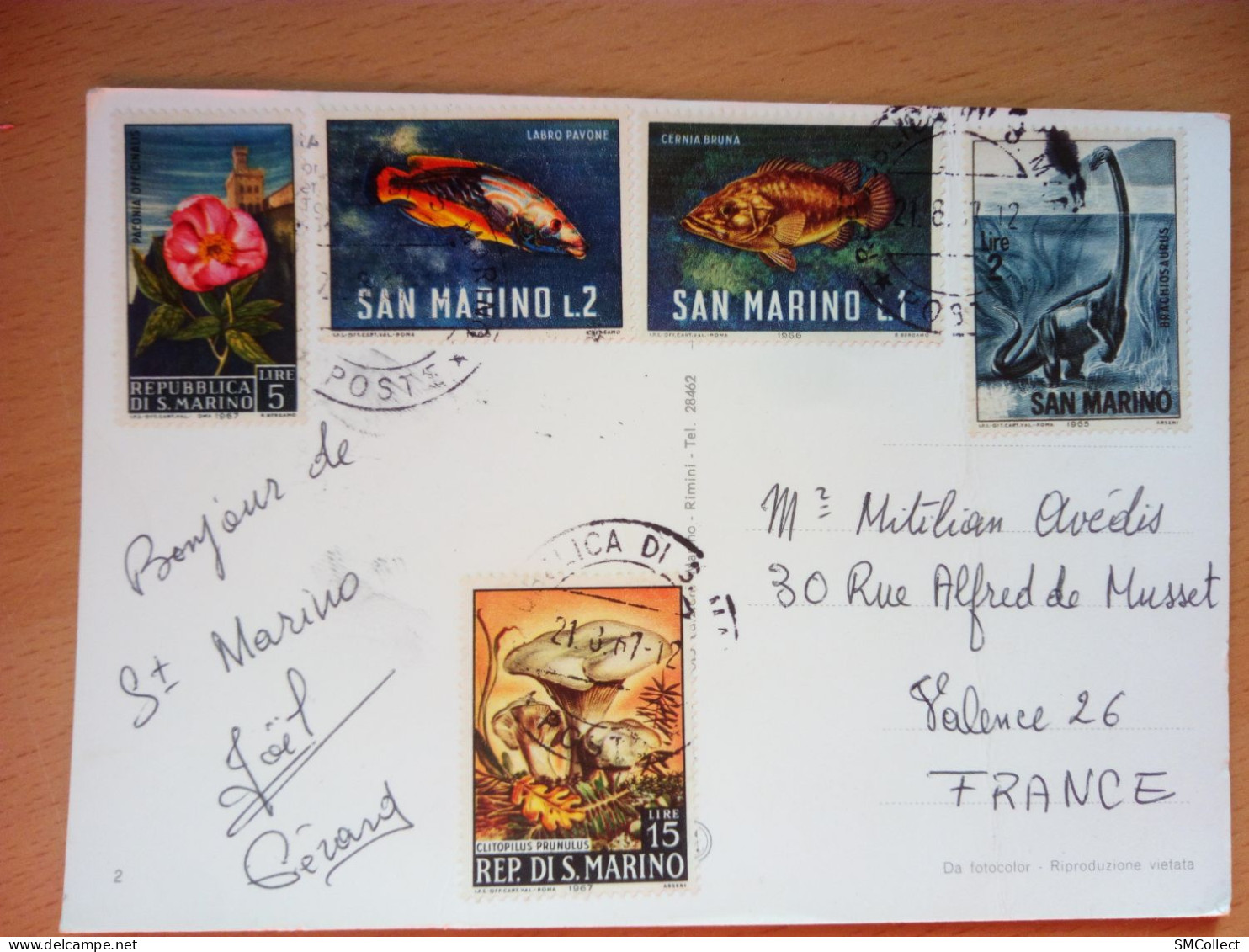 San Marino. Lot De 5 Timbres Sur Carte 1967  (GF4066) - Used Stamps