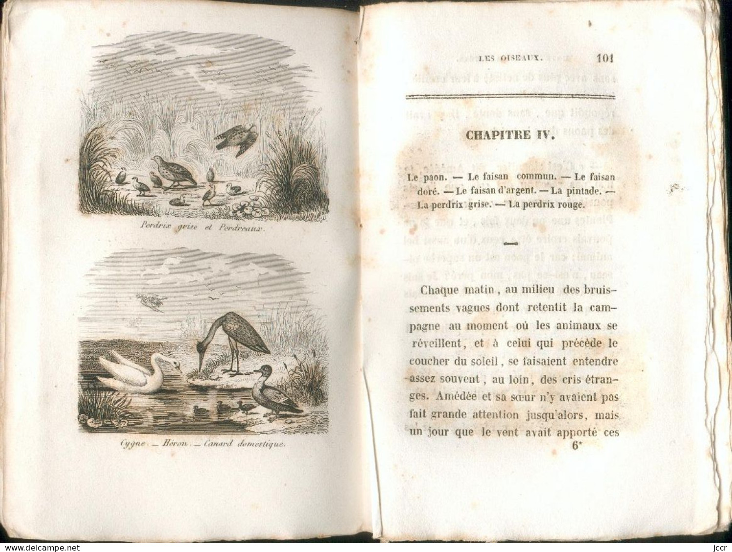 Petit Cours d'Histoire Naturelle en 8 parties - Les Oiseaux - Melle Ulliac Trémadeure - 1838