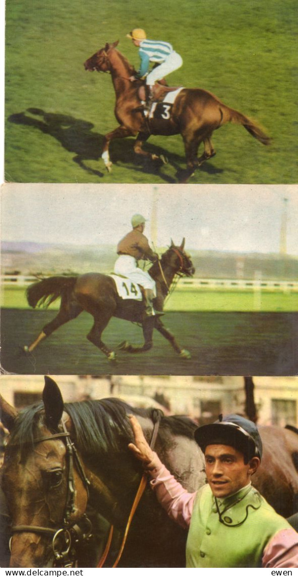 3 Cartes Hippisme. Calendrier Postillon 1967 Avec Le Nom Des Jockeys. - Reitsport