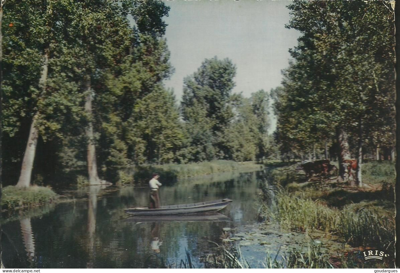 Marais Poitevin - La Route D'eau De Coulon à La Garette - (P) - Autres & Non Classés