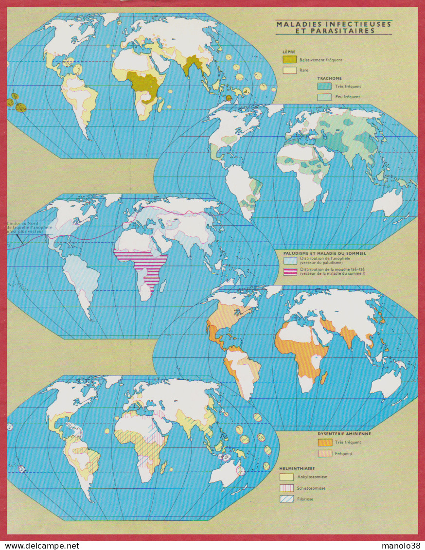 Maladie. Maladies Parasitaires, Réglementation Sanitaire Internationale, Maladies Infectieuses Mondiales. Larousse 1960 - Historical Documents