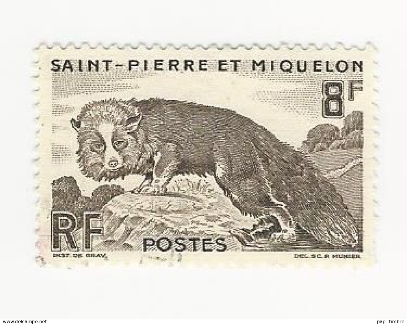 SPM-1952 -Série Courante-Renard Argenté - N° 345 Oblitéré - Used Stamps