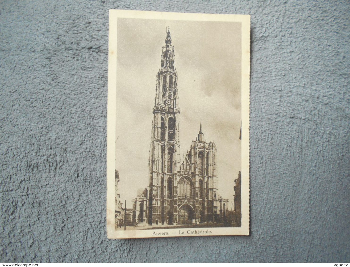 Cpa Anvers Antwerpen La  Cathedrale - Antwerpen