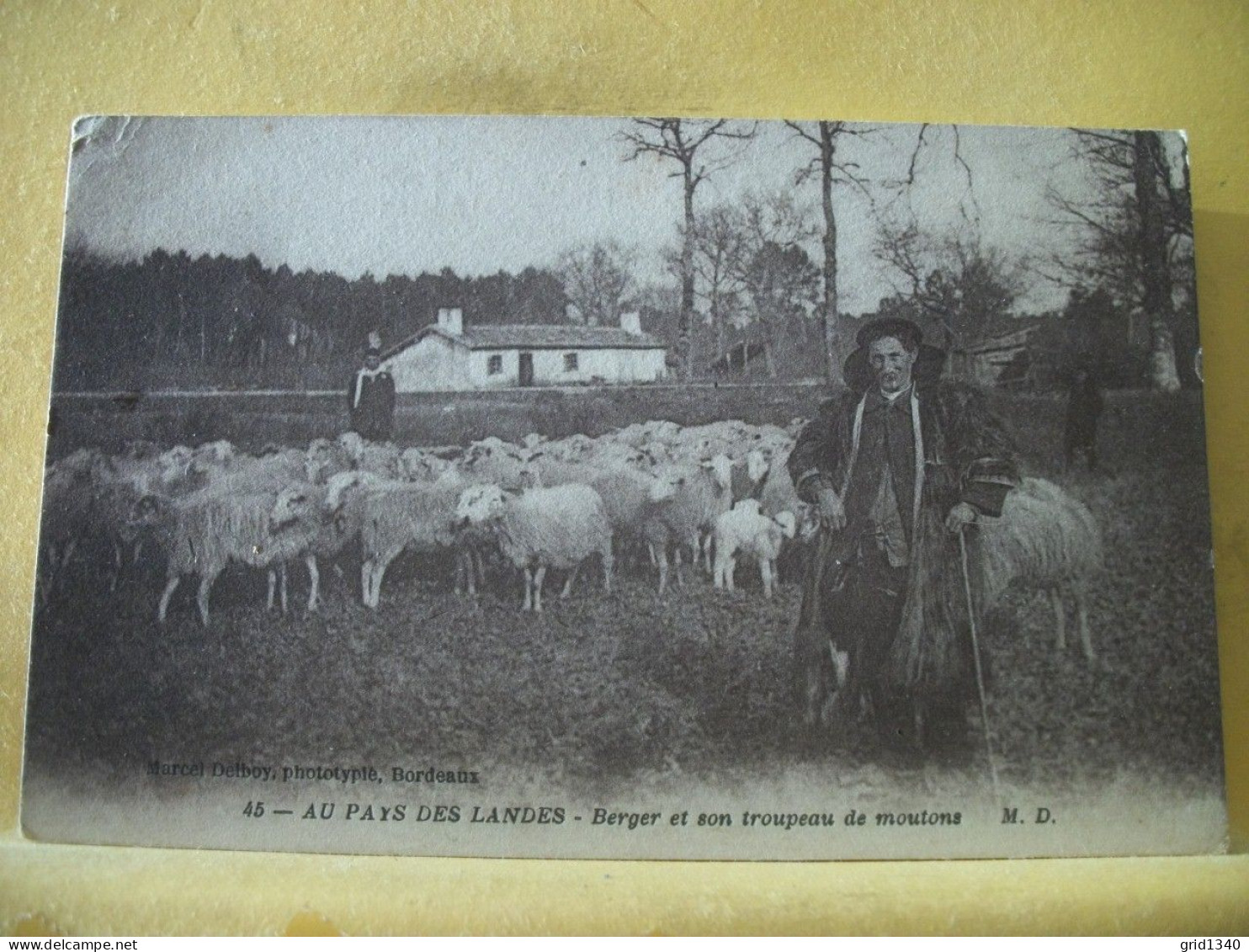 40 4492 LOT N° 4  DE 15 CPA DIFFERENTES SUR  LES BERGERS ET MOUTONS DANS LES LANDES