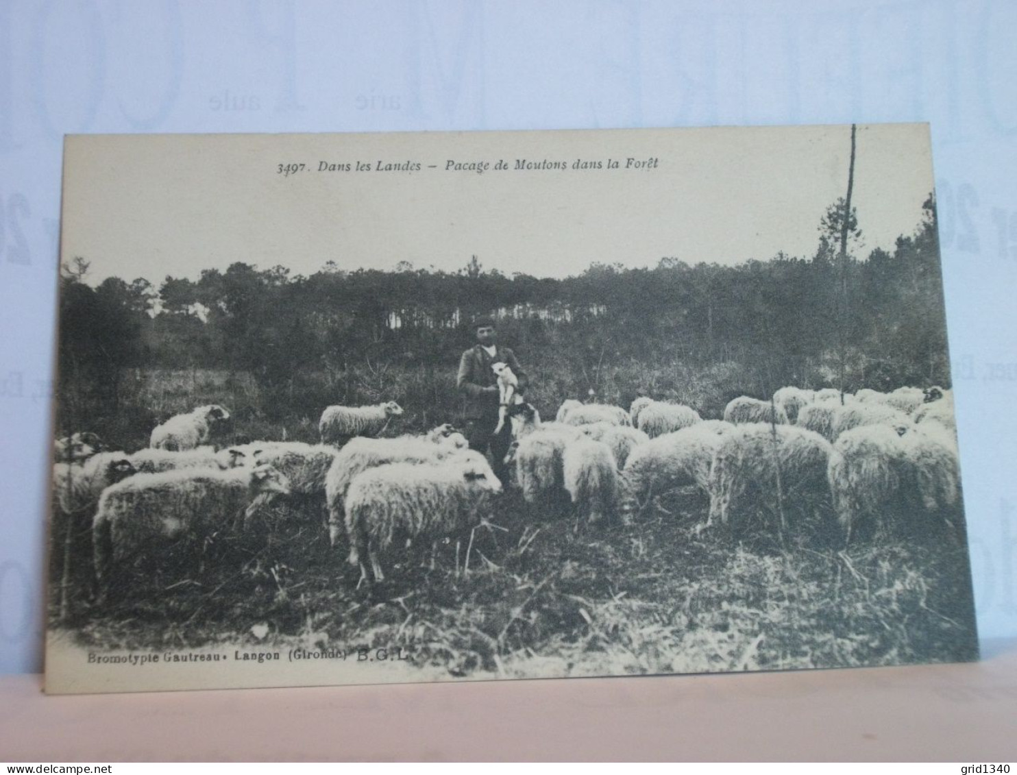 40 4492 LOT N° 4  DE 15 CPA DIFFERENTES SUR  LES BERGERS ET MOUTONS DANS LES LANDES