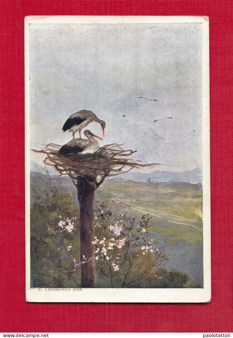 Cicogna Bianca, White Stork. Small Size Post Card, German, Verso Divided, Mailed To Genova, Ed. Salon Des Peintres - Oiseaux