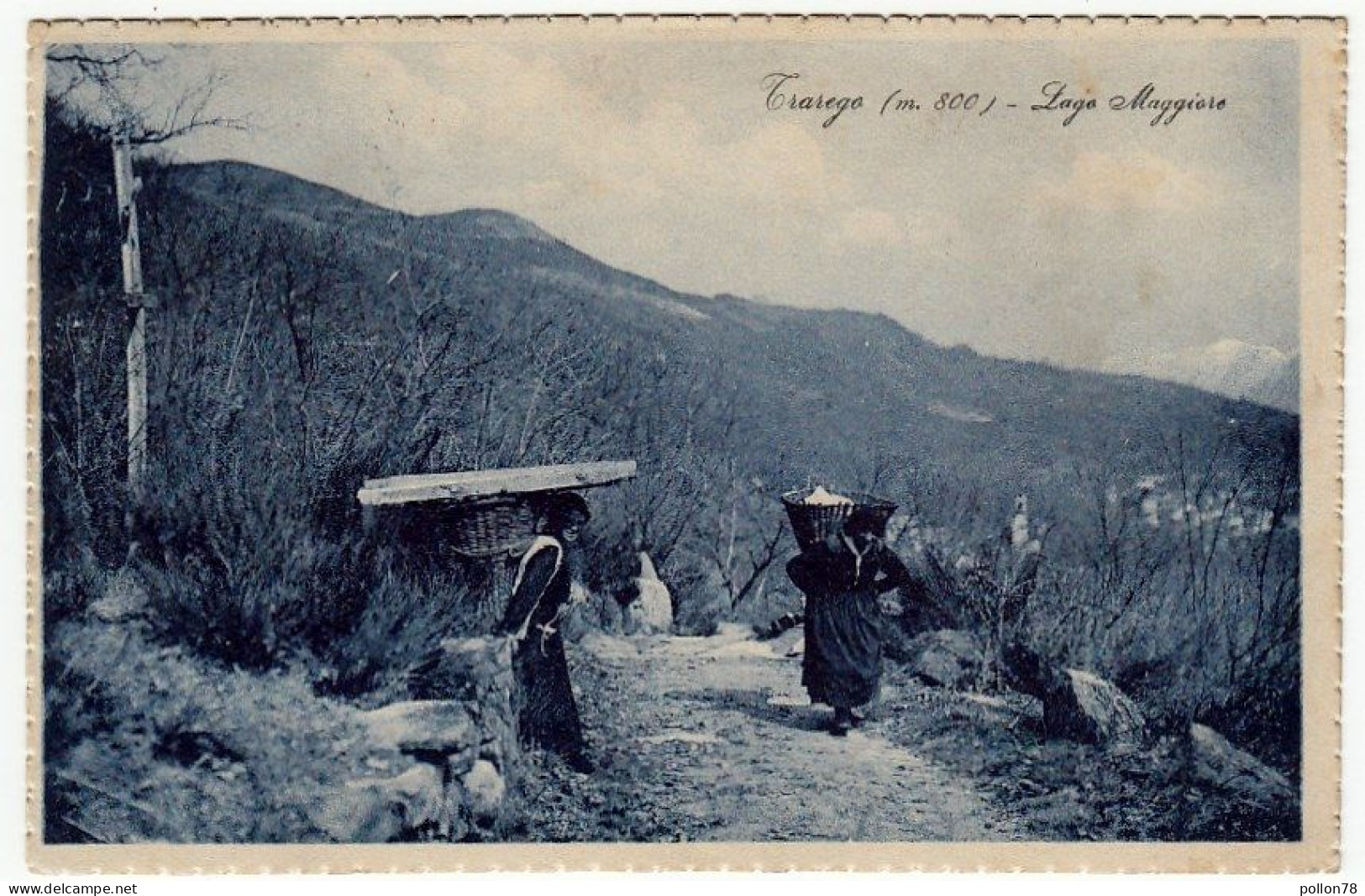 LAGO MAGGIORE - SALUTI DA TRAREGO - VIGGIONA - VERBANIA - 1925 - Vedi Retro - F. P. - Vercelli