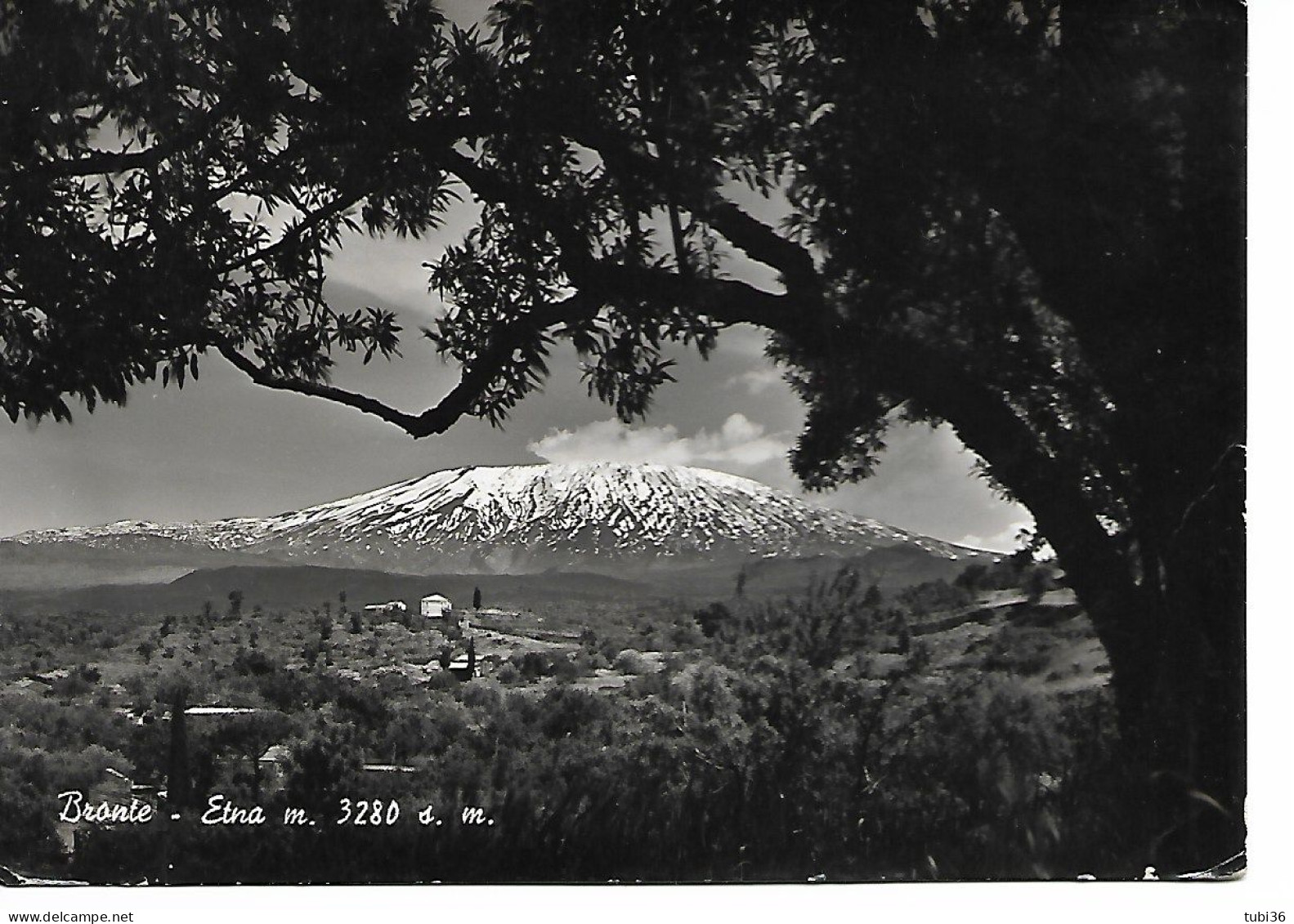 BRONTE - ETNA - (Catania) - CARTOLINA ILL. B/N - VIAGGIATA 1952 - Ediz.Musuraca Nicolò,Bronte - POSTE BRONTE - CATANIA - Catania