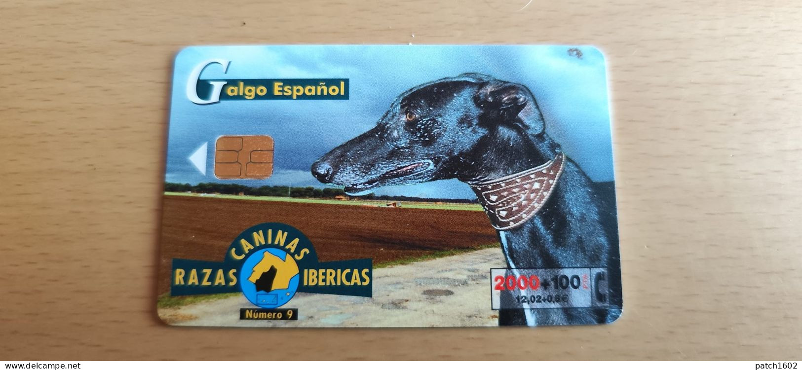 CALGO ESPAGNOL RAZAS IBERICAS CANINAS 2000+100 PTA TELEFONICA - Dogs