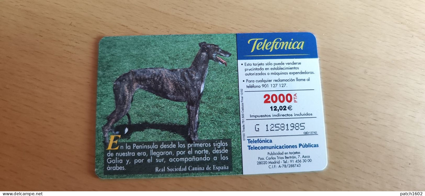 CALGO ESPAGNOL RAZAS IBERICAS CANINAS 2000+100 PTA TELEFONICA - Hunde