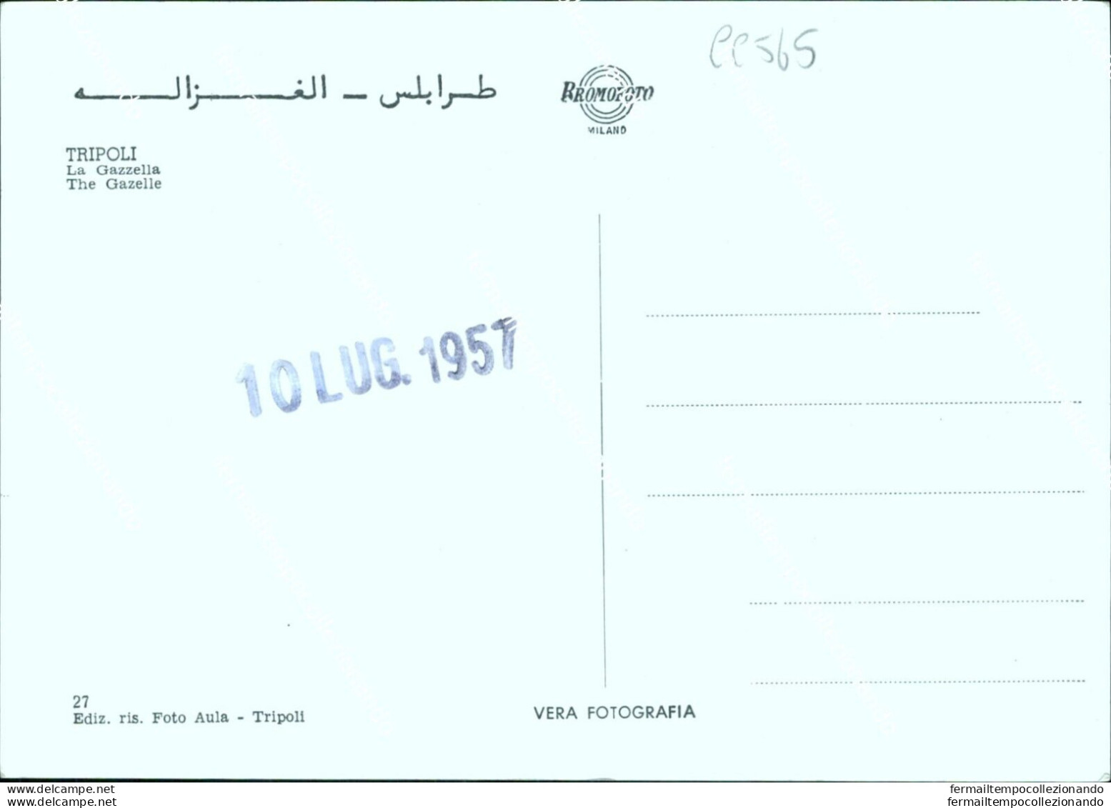 Cc565 Cartolina Ex Colonie Tripoli Libia - Other & Unclassified