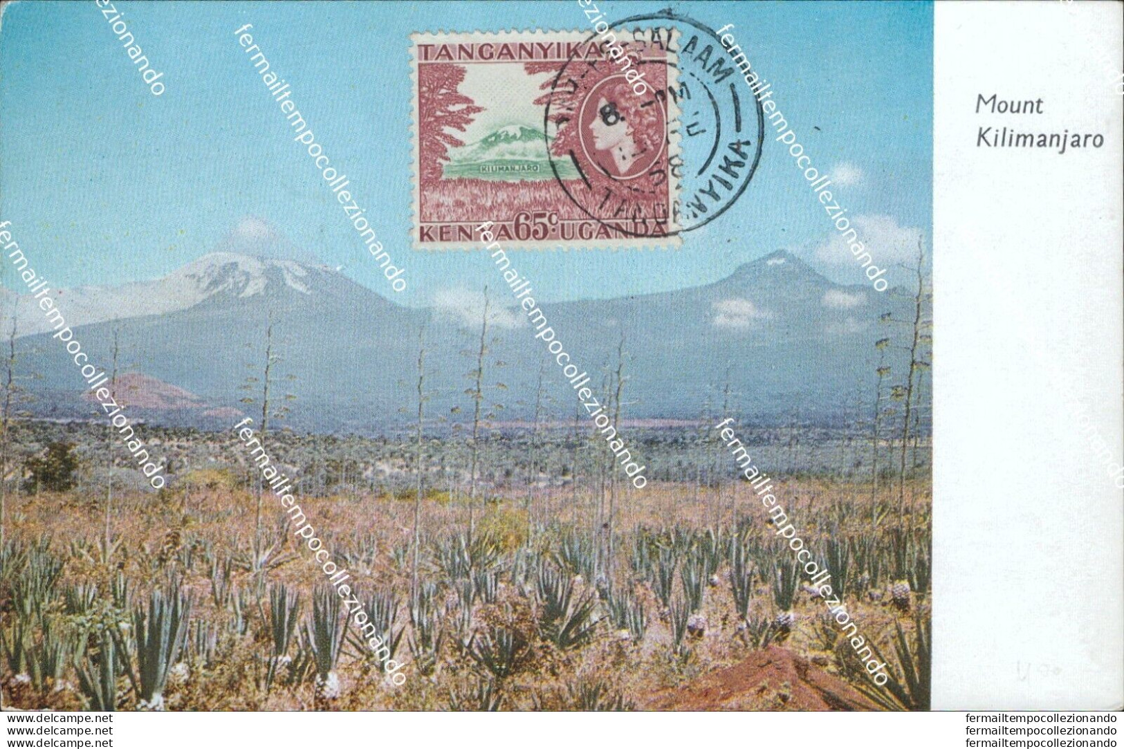 Au109 Cartolina Mount Kilimanjaro Kenya - Andere & Zonder Classificatie