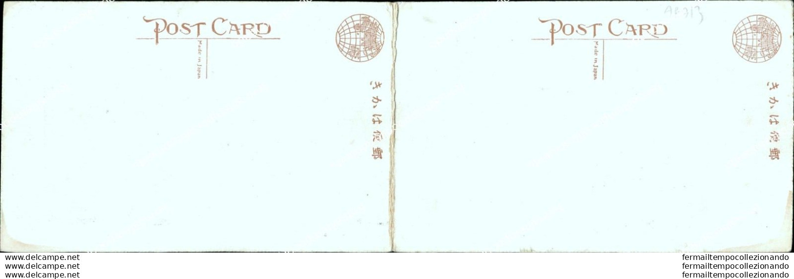 Ag713 Cartolina Postcard The Njjiu Baschi Imperial Palace Japan Giappone Doppia - Altri & Non Classificati
