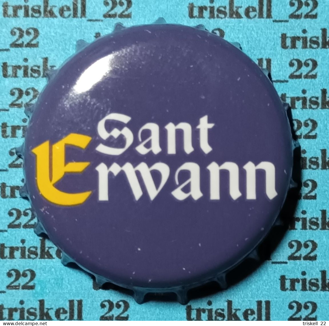 Sant Erwann Blonde    Mev21 - Bière