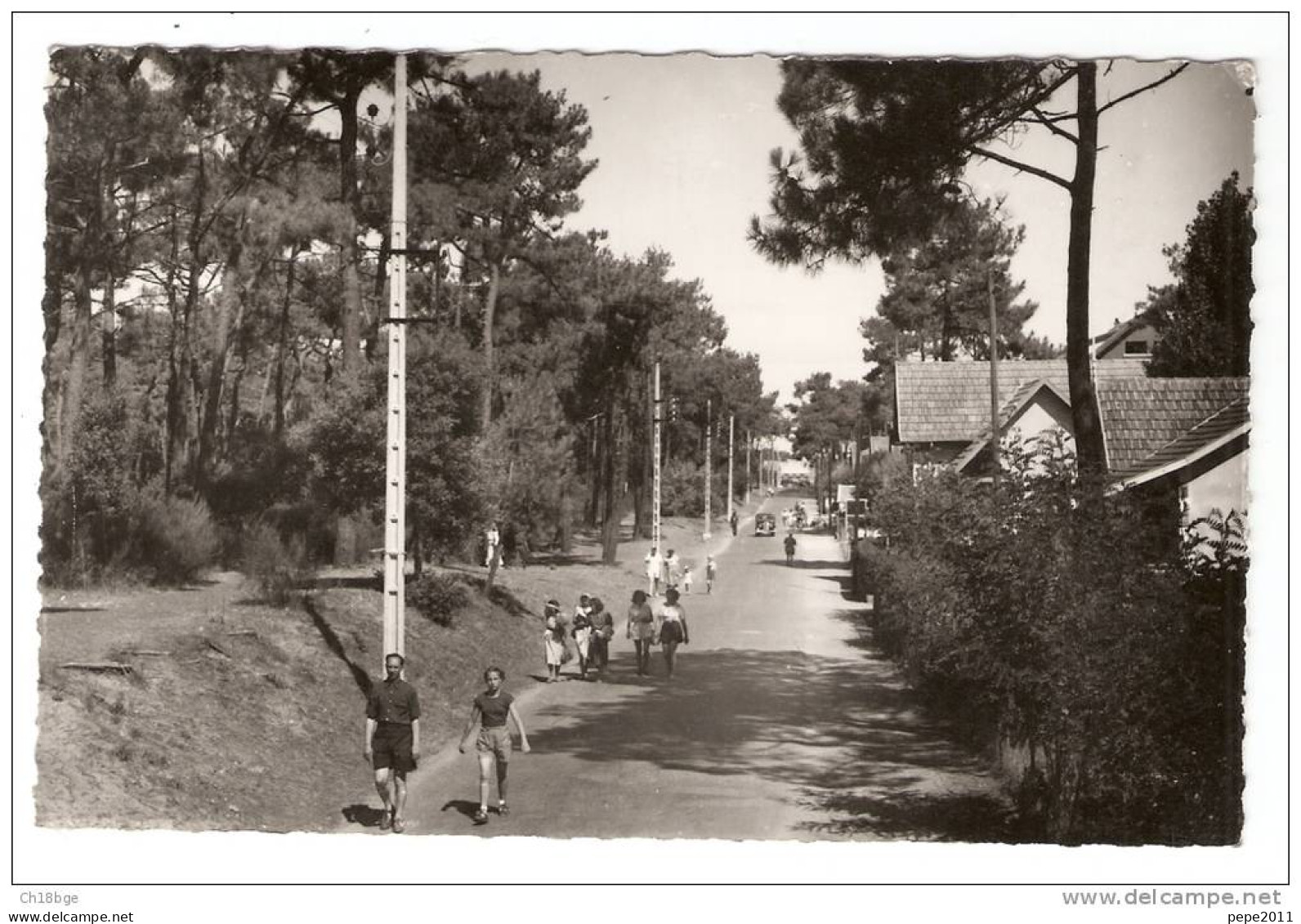 CPA-  17 - Charente Maritime -Ile D'oléron - St Trojan Les Bains Ave Sous Les Pins - Bd De La Plage -Animé Peu Commune - Ile D'Oléron