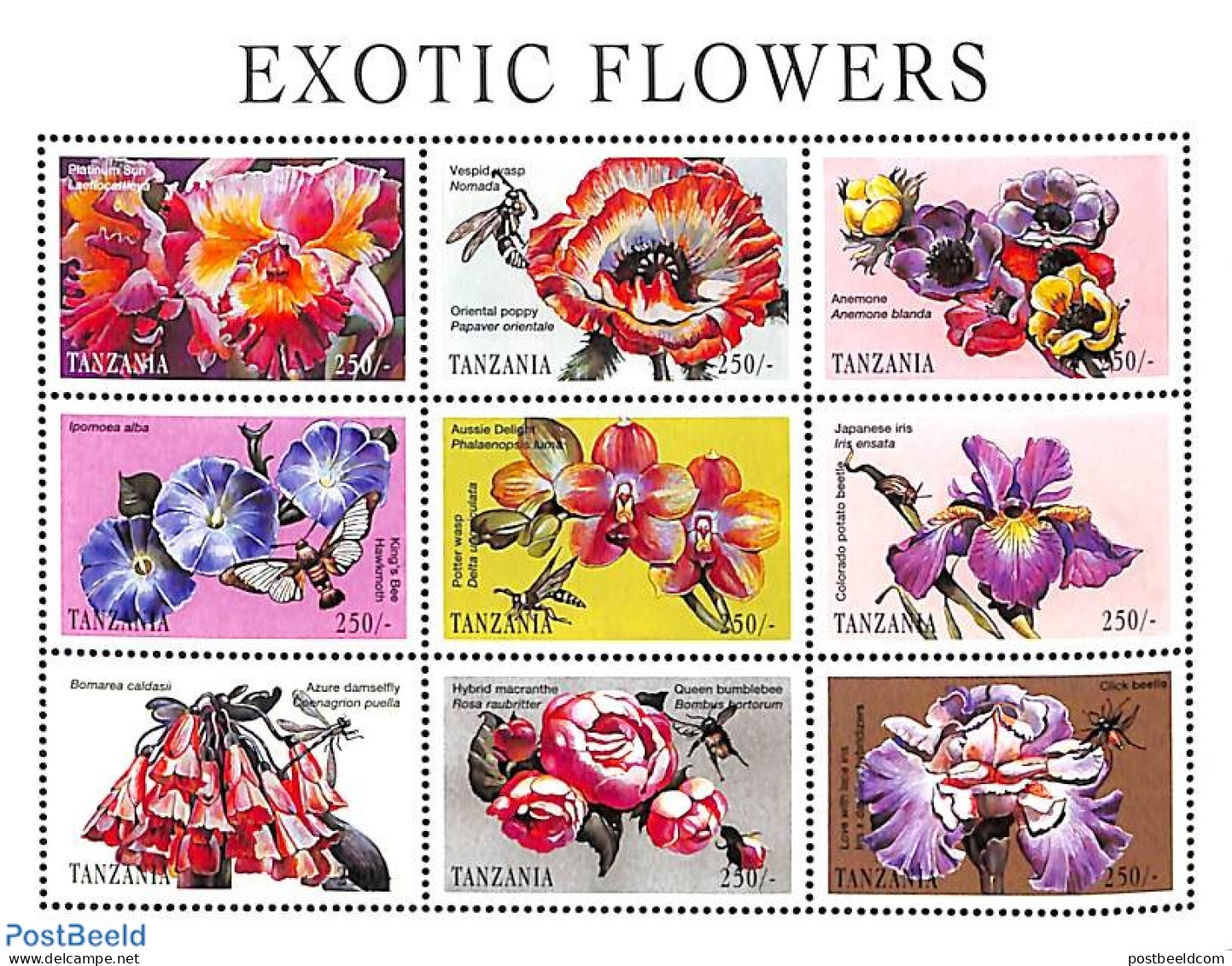 Tanzania 1998 Flowers & Insects 9v M/s, Mint NH, Nature - Flowers & Plants - Insects - Tansania (1964-...)