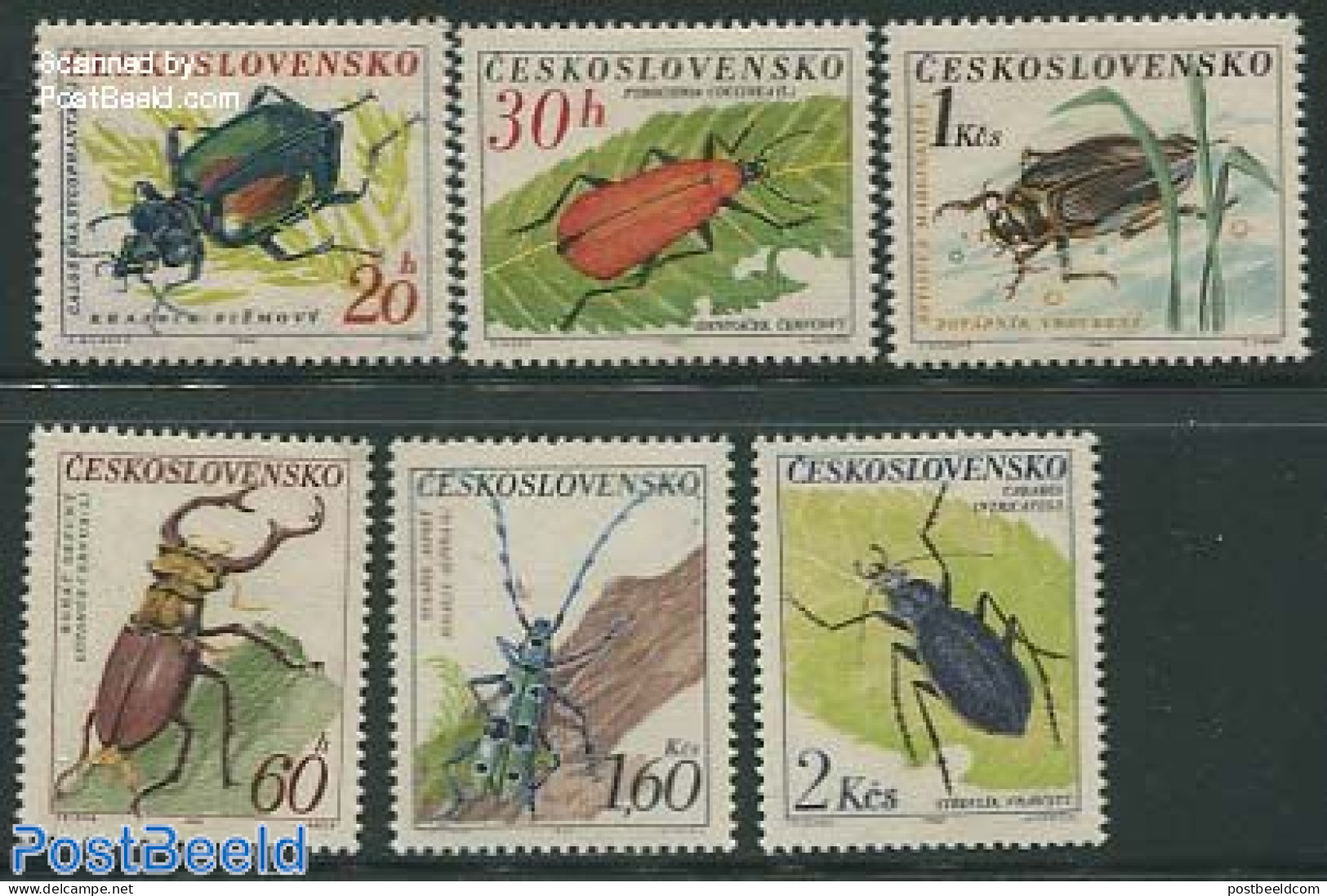 Czechoslovkia 1962 Insects, Beetles 6v, Mint NH, Nature - Insects - Andere & Zonder Classificatie