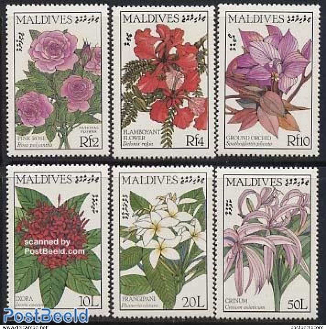 Maldives 1987 Flowers 6v, Mint NH, Nature - Flowers & Plants - Maldivas (1965-...)