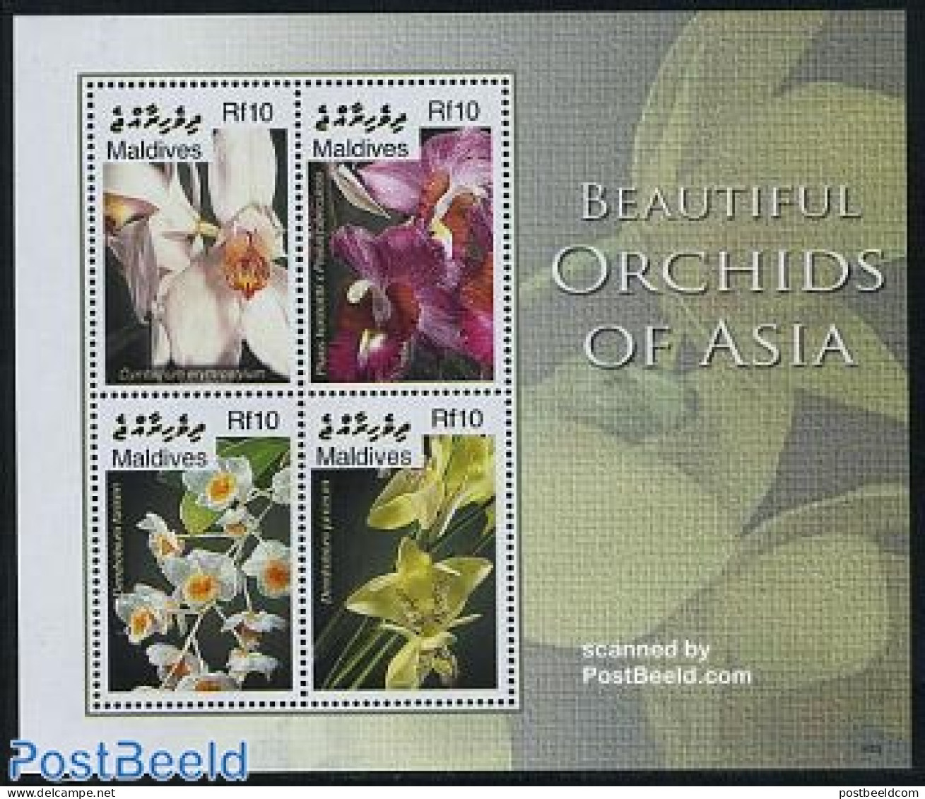 Maldives 2006 Orchids Of Asia 4v M/s, Mint NH, Nature - Flowers & Plants - Orchids - Malediven (1965-...)