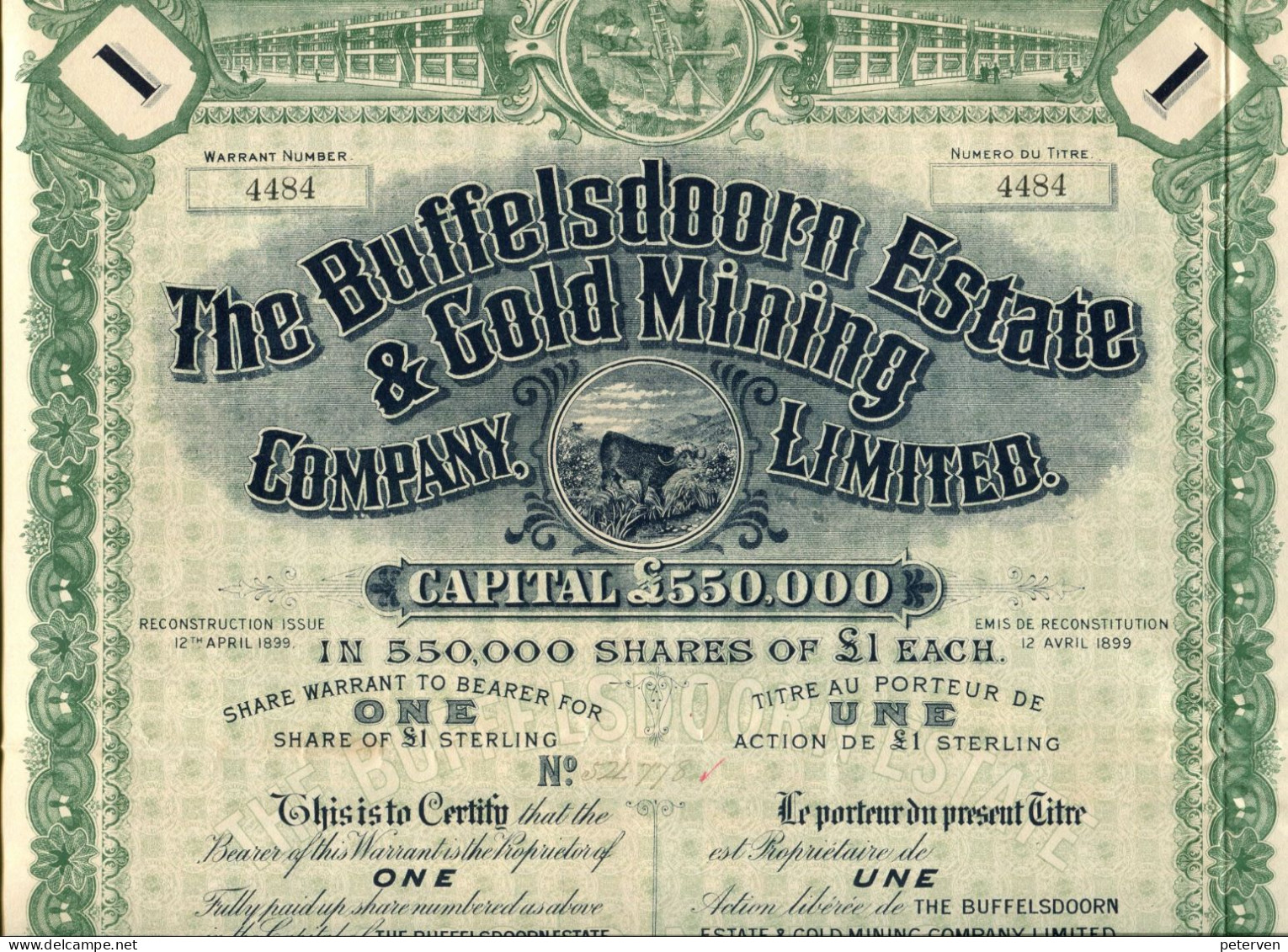 The BUFFELSDOORN ESTATE & GOLD MINING COMPANY, Limited - Mineral
