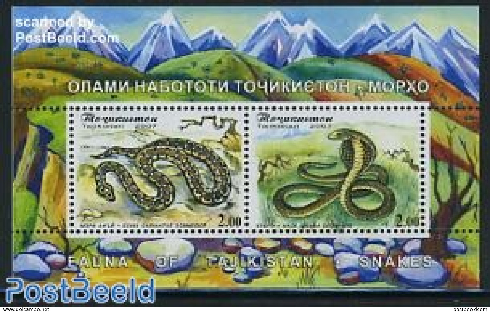Tajikistan 2007 Snakes S/s, Mint NH, Nature - Reptiles - Snakes - Tajikistan