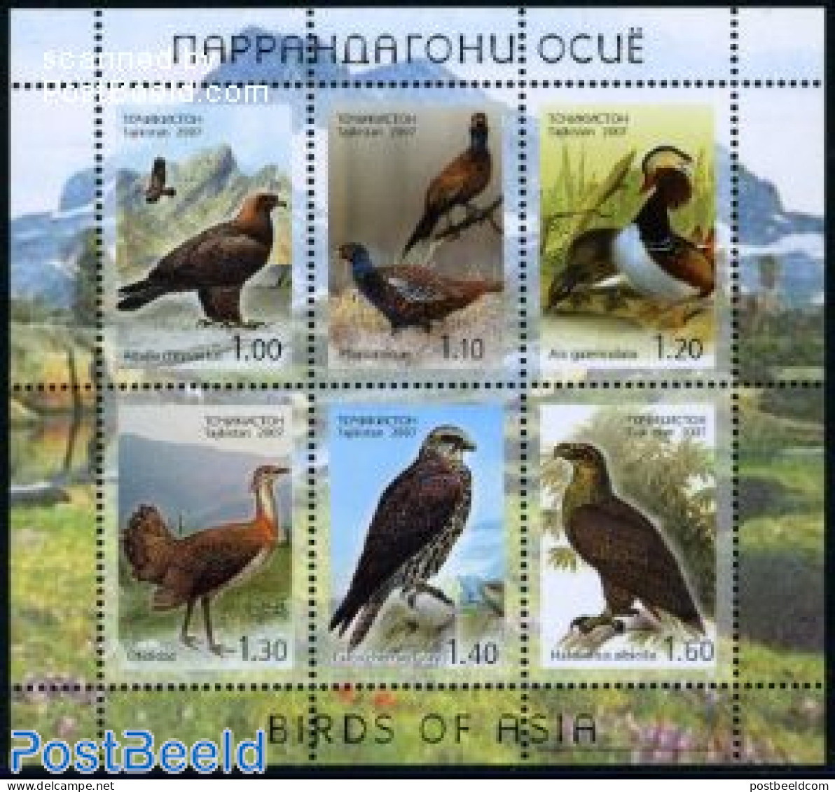 Tajikistan 2007 Birds 6v M/s, Mint NH, Nature - Birds - Birds Of Prey - Ducks - Tadschikistan