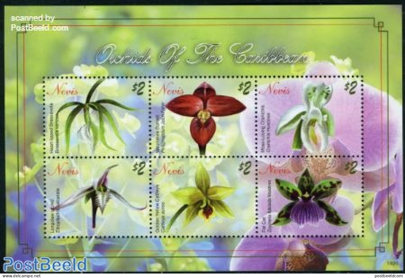 Nevis 2010 Orchids 6v M/s, Mint NH, Nature - Flowers & Plants - Orchids - St.Kitts And Nevis ( 1983-...)