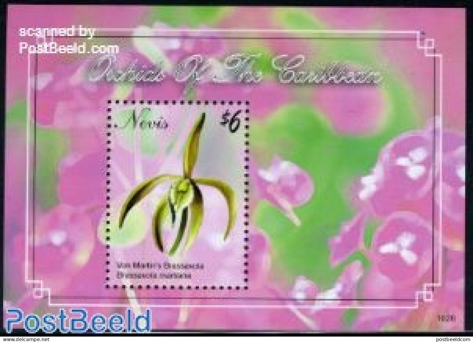 Nevis 2010 Orchids S/s, Mint NH, Nature - Flowers & Plants - Orchids - St.Kitts And Nevis ( 1983-...)