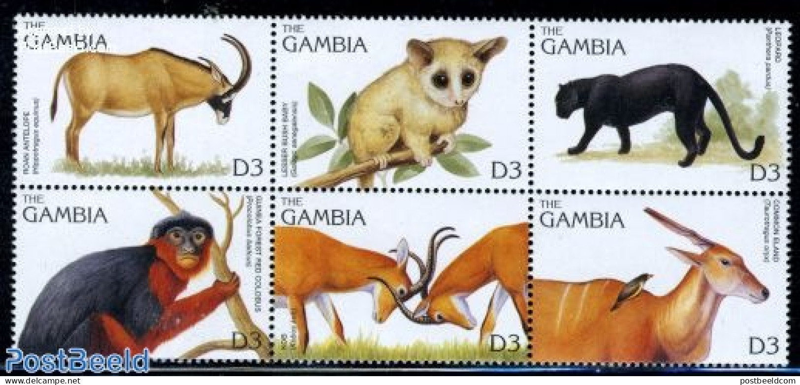Gambia 1996 Animals 6v [++], Mint NH, Nature - Animals (others & Mixed) - Cat Family - Monkeys - Gambie (...-1964)