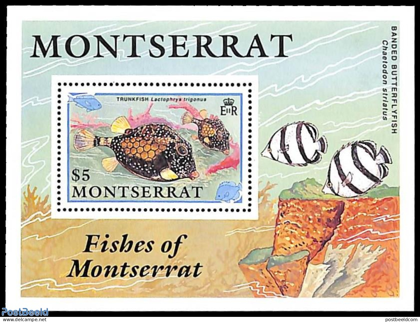 Montserrat 1991 Fish S/s, Mint NH, Nature - Fish - Fishes