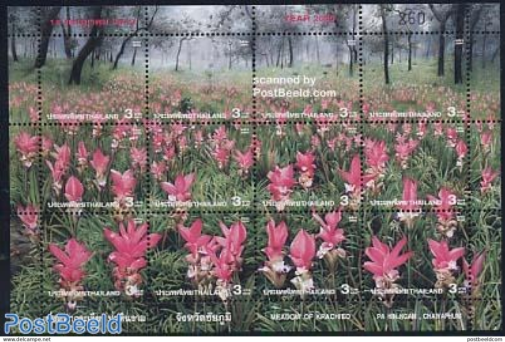 Thailand 2000 Pa-Hin-Ngam Park 12v M/s, Mint NH, Nature - Various - Flowers & Plants - Tourism - Thailand