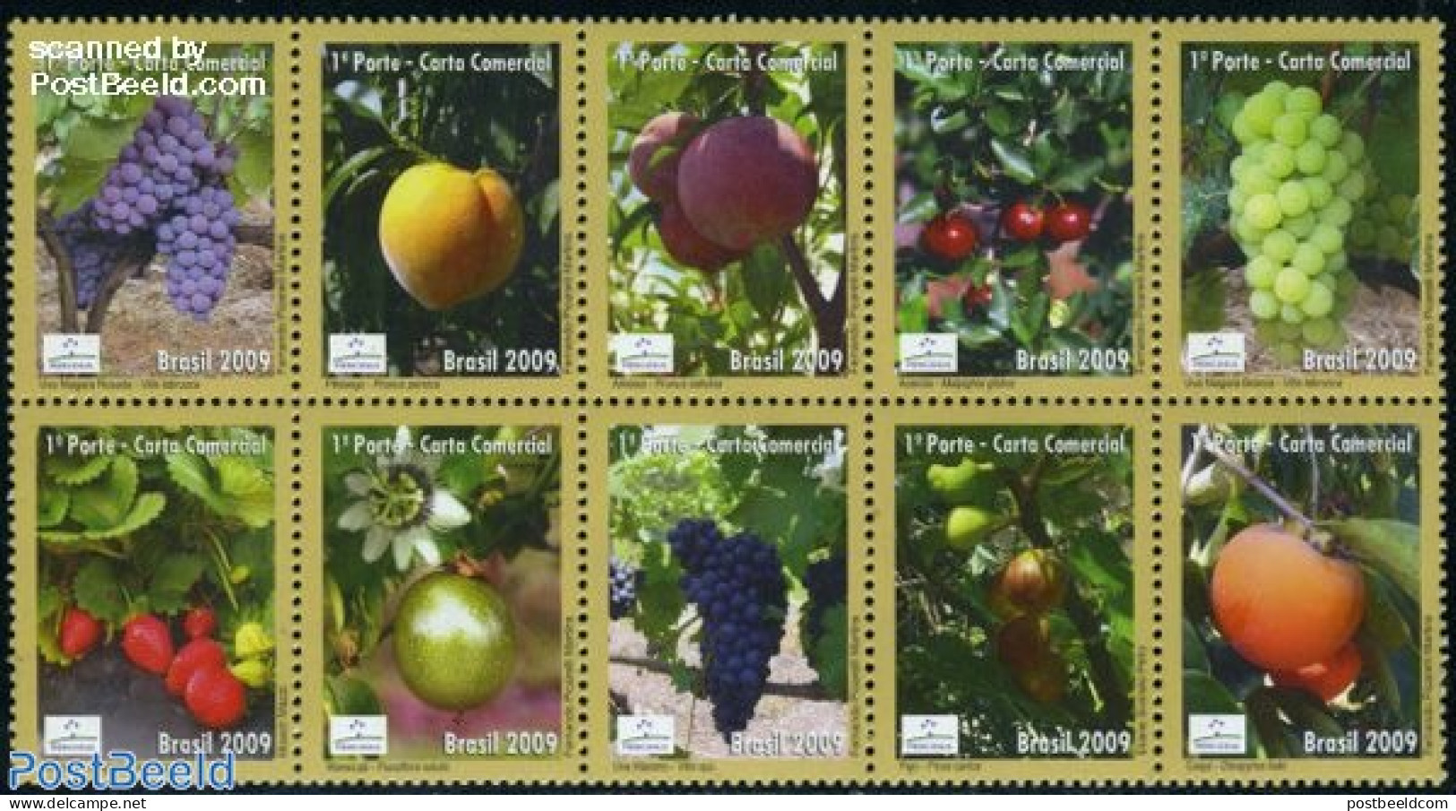 Brazil 2009 Fruits 10v [++++], Mint NH, Nature - Fruit - Wine & Winery - Unused Stamps
