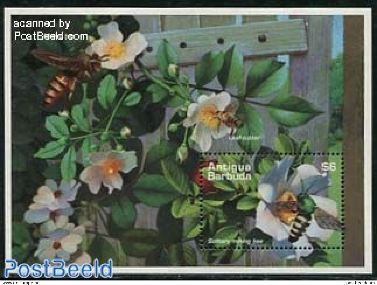 Antigua & Barbuda 1995 Bees S/s, Mint NH, Nature - Bees - Insects - Antigua And Barbuda (1981-...)