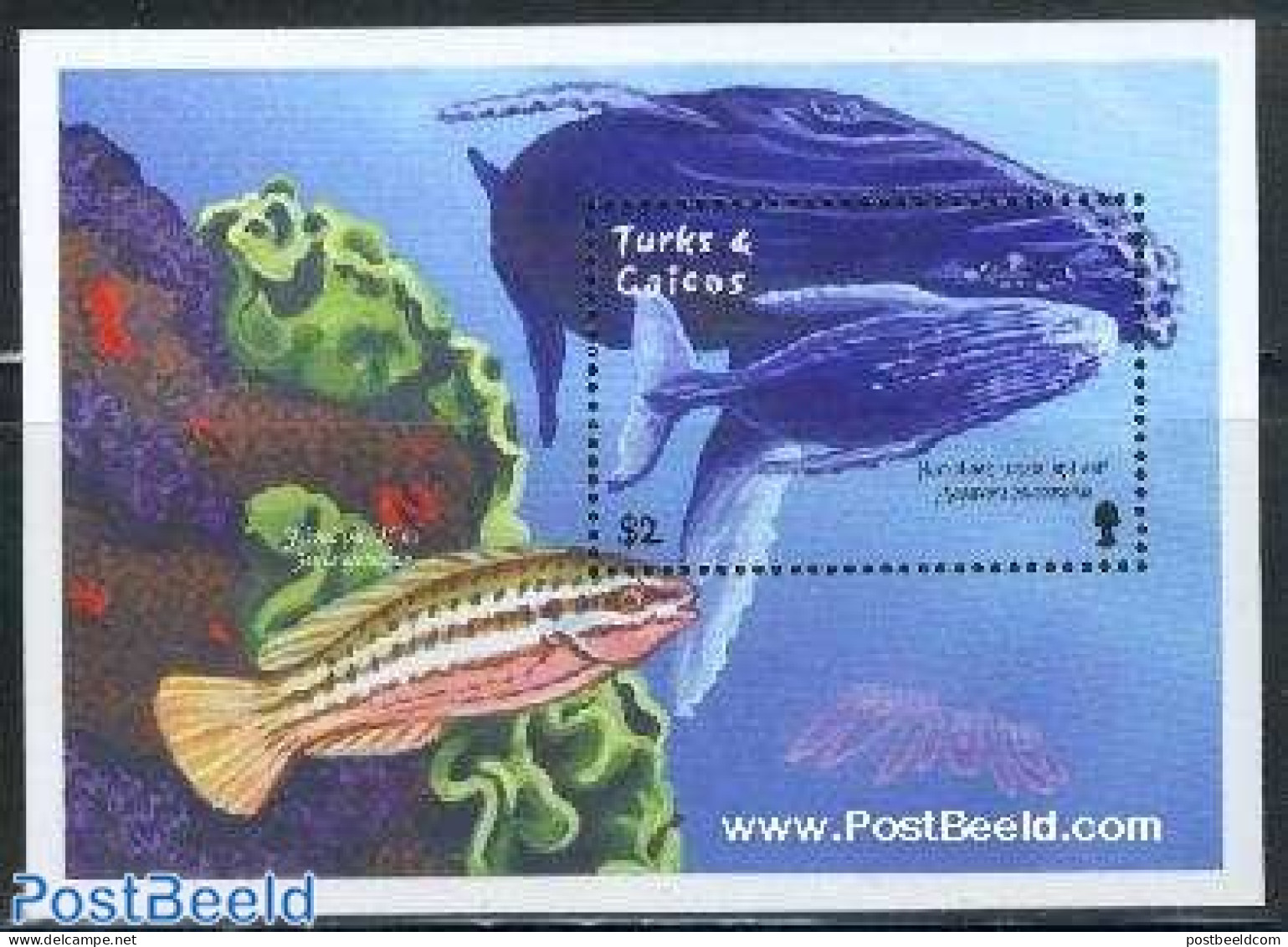 Turks And Caicos Islands 2001 Humpback Whale S/s, Mint NH, Nature - Fish - Sea Mammals - Fishes