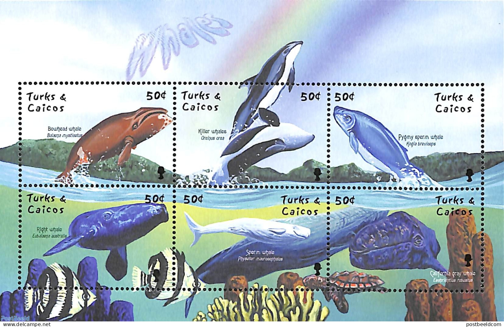 Turks And Caicos Islands 2001 Whales 6v M/s, Bowhead Whale, Mint NH, Nature - Fish - Sea Mammals - Turtles - Poissons