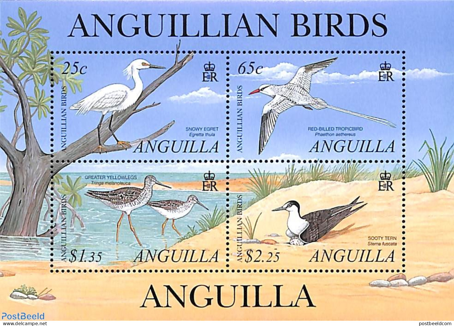 Anguilla 2001 Birds 4v M/s, Mint NH, Nature - Birds - Anguilla (1968-...)