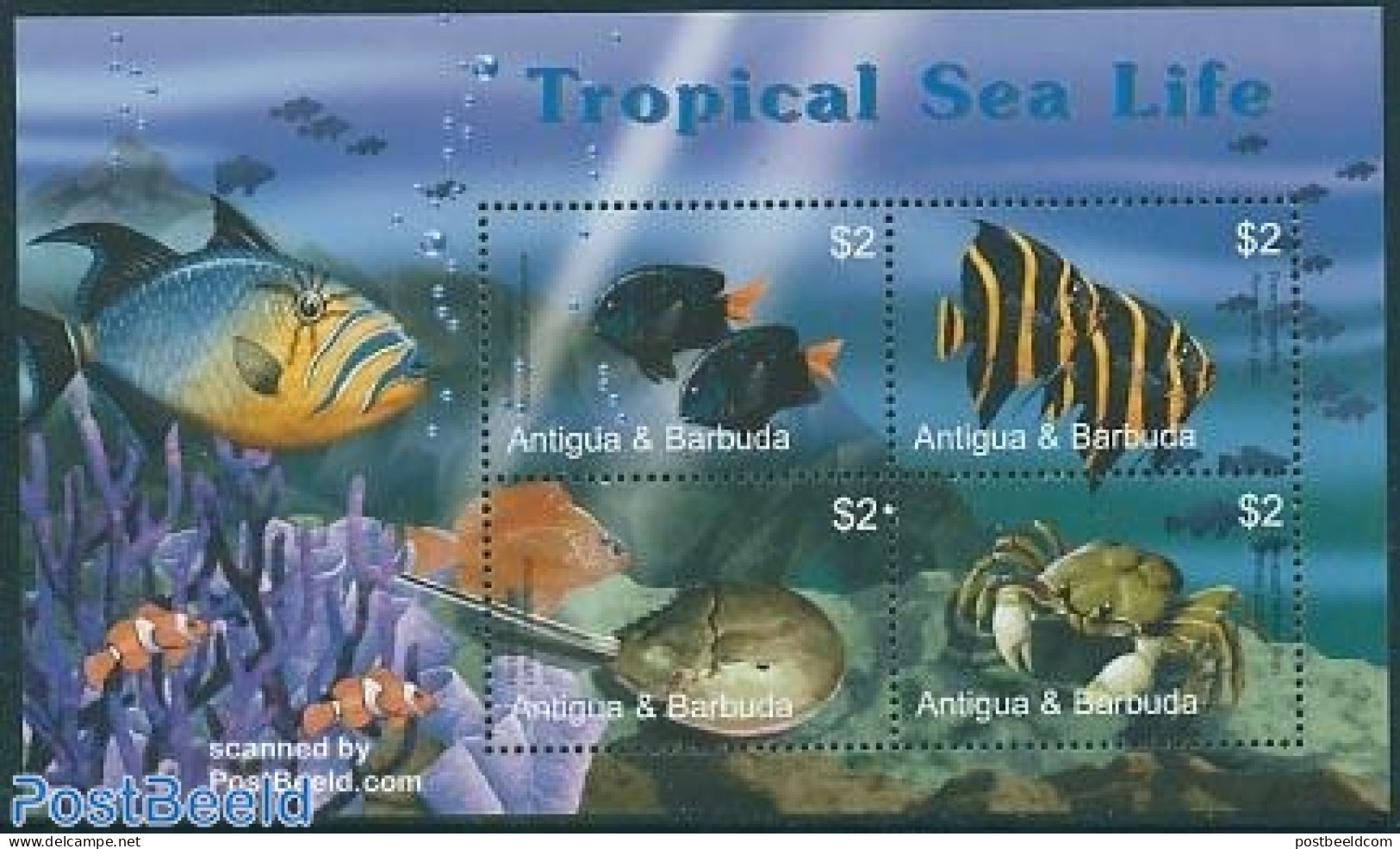Antigua & Barbuda 2005 Tropical Sea Life 4v M/s, Yellowtail Damselfish, Mint NH, Nature - Fish - Poissons