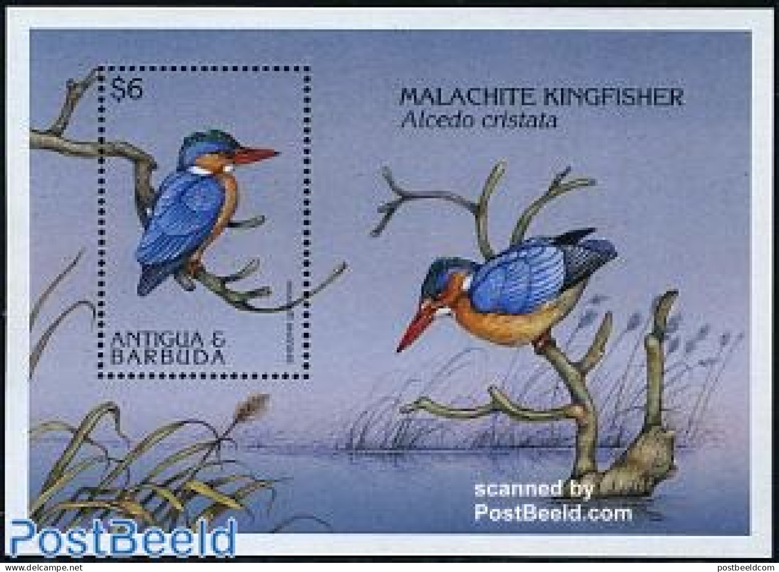 Antigua & Barbuda 1997 Kingfisher S/s, Mint NH, Nature - Birds - Kingfishers - Antigua And Barbuda (1981-...)