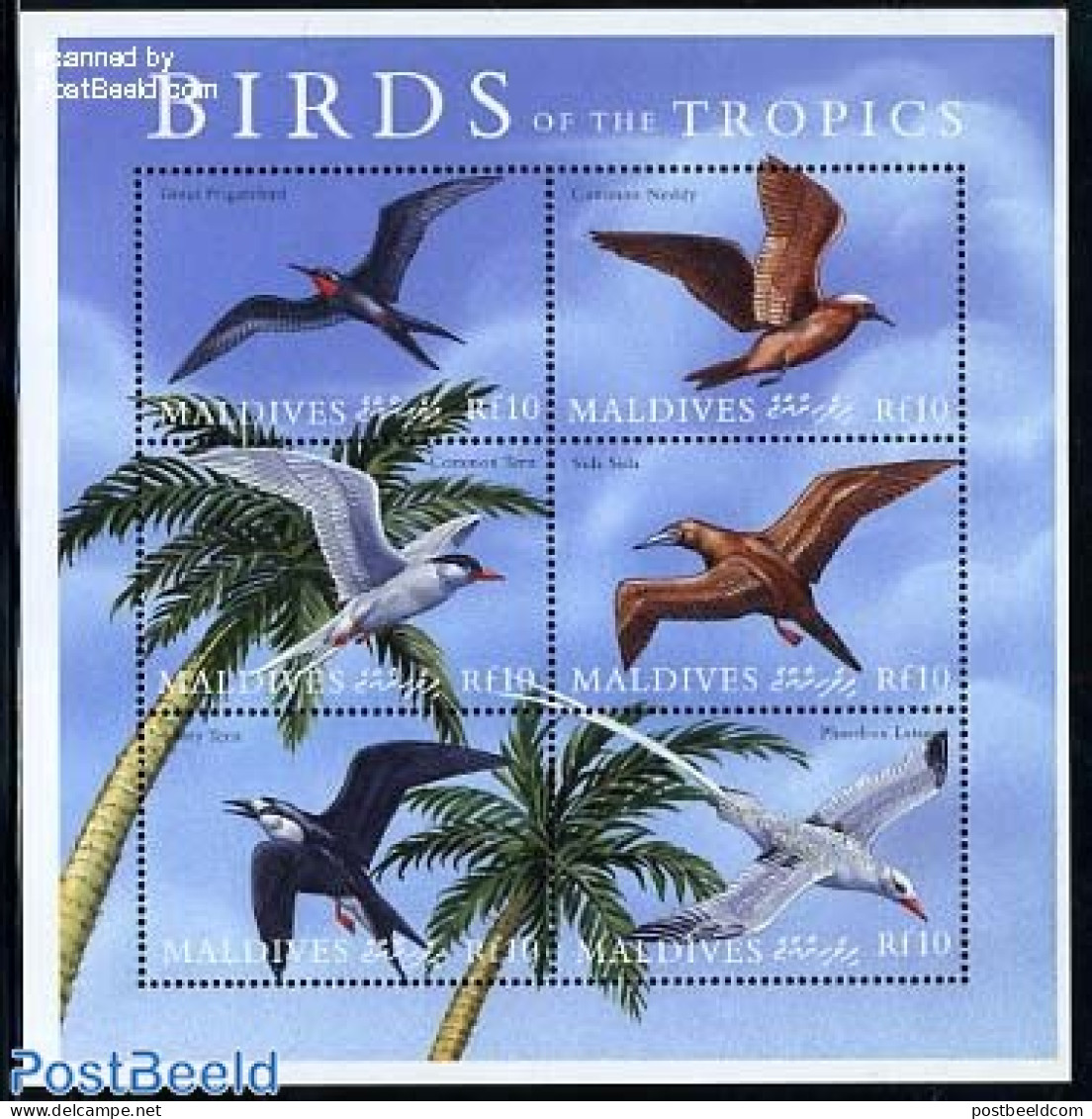 Maldives 2000 Birds 6v M/s, Fregata Minor, Mint NH, Nature - Birds - Maldives (1965-...)