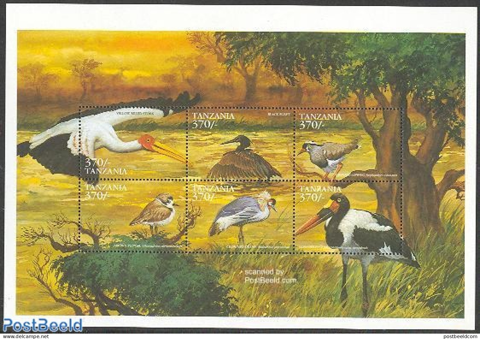 Tanzania 1999 Birds 6v M/s, Yellow Bill, Mint NH, Nature - Birds - Storks - Tanzanie (1964-...)
